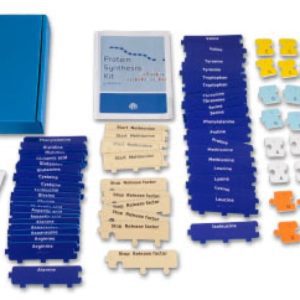 Protein Synthesis kit components and box