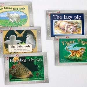 Early Braille Trade Books Rigby PM Platinum Edition Kit 1 components