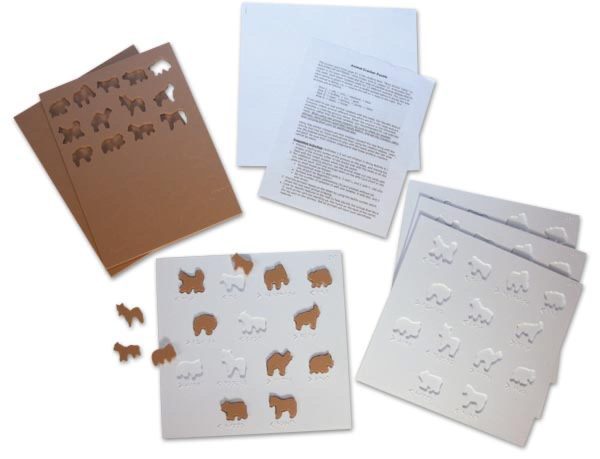 Building on Patterns First Grade Unit 6 Animal Shapes and Pages Set