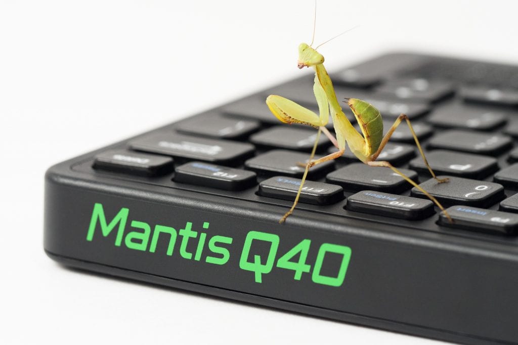 Praying Mantis sitting on Mantis keyboard