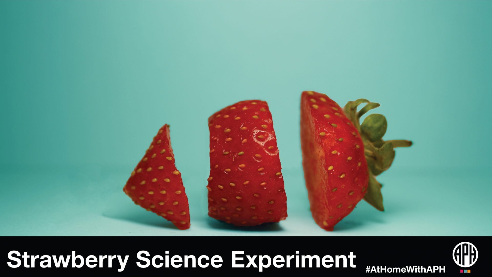 image of a strawberry sliced on a blue background. text reads "Strawberry Science Experiment #AtHomeWithAPH"