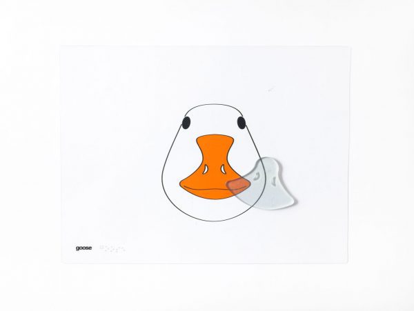 color overlay of a ducks face with a clear beak shaped puzzle piece laying askew