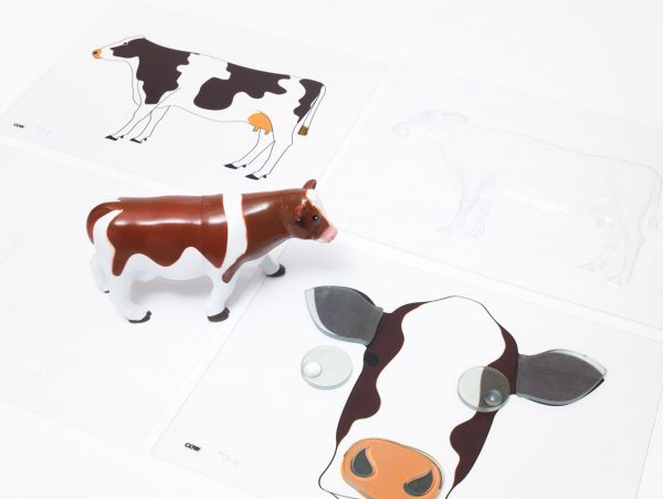 Cow translucent puzzle pieces, print and tactile overlays, and plastic model from the Animal Recipes Farm Set.